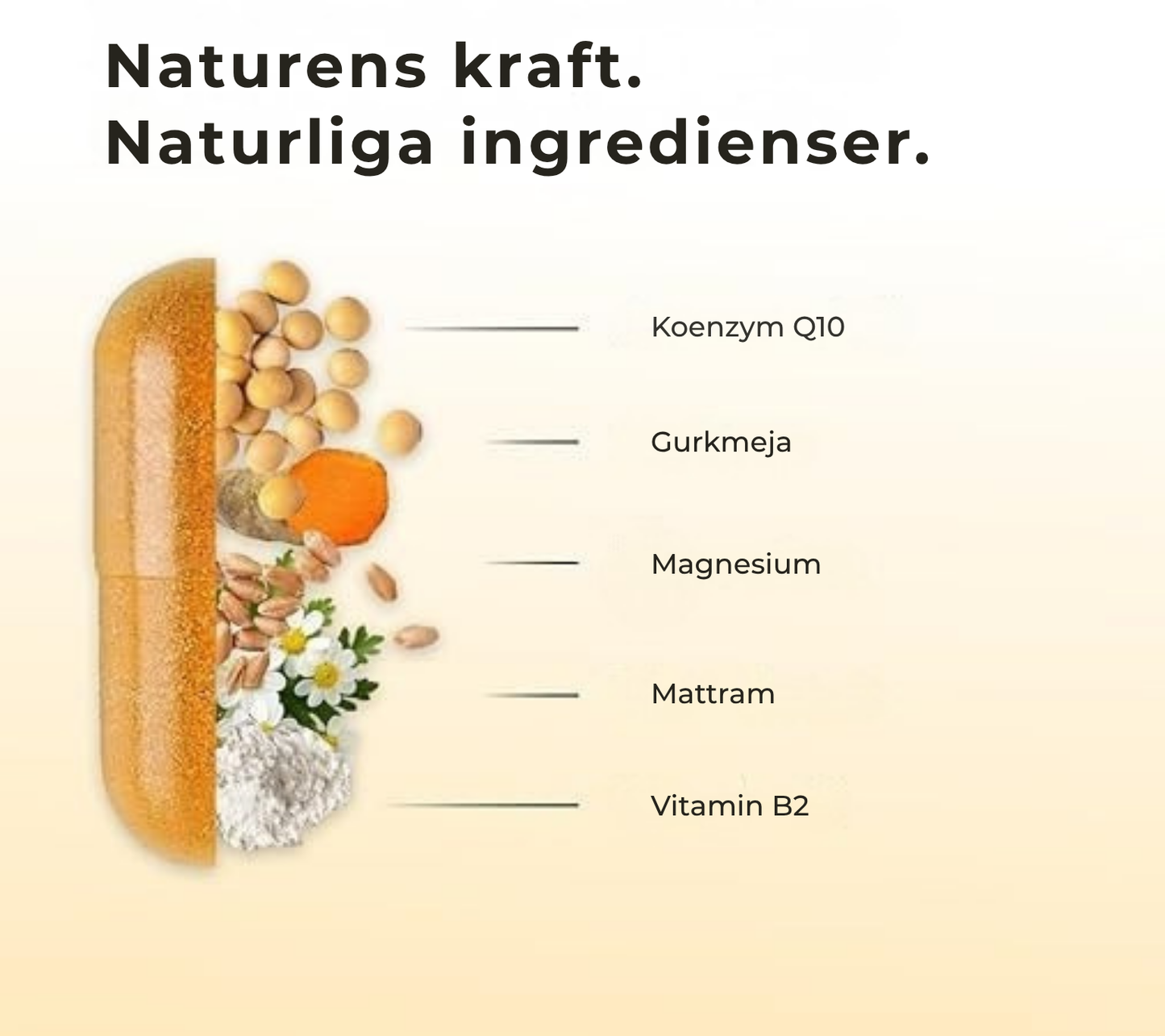 Migra Relief® | Kosttillskott mot migrän som innehåller viktiga ingredienser för att lindra migrän