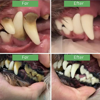 PawSafe® | 3-i-1 Kit – Säkert tandvård hemma