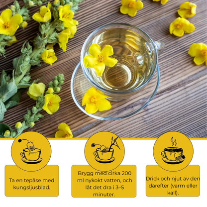 FriskLung® | Tar bort 99% av lungföroreningar inom den första veckan av användning