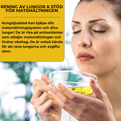 FriskLung® | Tar bort 99% av lungföroreningar inom den första veckan av användning