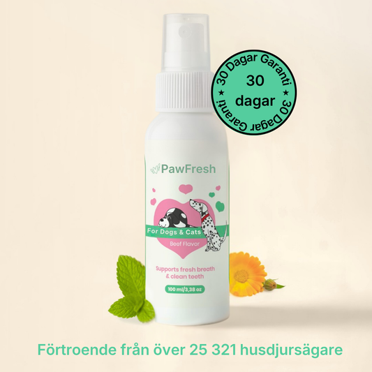 PawFresh® | Hundar/katter – Det handlar inte bara om andedräkten – det handlar om hälsa, välbefinnande och att äntligen göra något som verkligen fungerar.