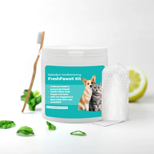 FreshPaws® Kit | Skyddar mot tandproblem - 50 st.