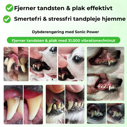 PawSafe® | 3-i-1 Kit – Säkert tandvård hemma