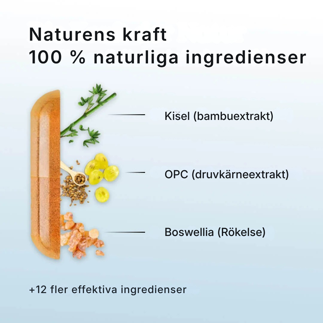 Arthro Complete® | Dämpa inflammation, återuppbygg brosk och återfå rörligheten