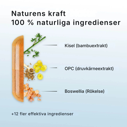 Arthro Complete® | Dämpa inflammation, återuppbygg brosk och återfå rörligheten