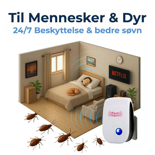 Zyvona® Ren komfort | Säg farväl till kvalster, klåda och nysningar – Andas lättare på bara 3 dagar!