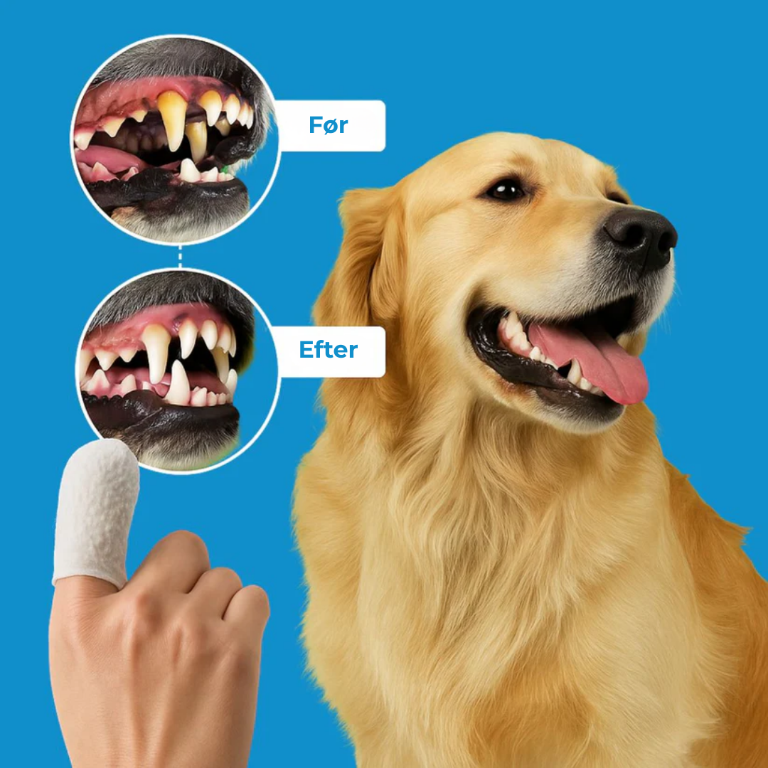 FreshPaws® Kit | Skyddar mot tandproblem - 50 st.