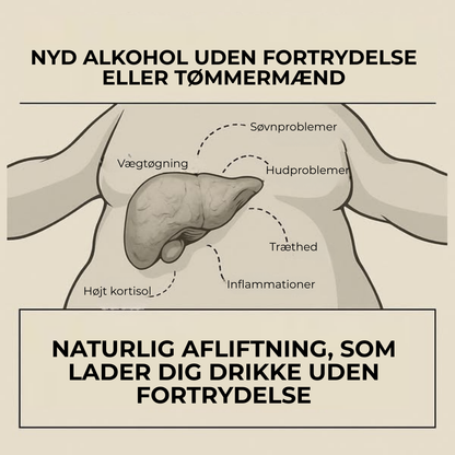 LeverRen® | Avgiftning och återställ din lever på bara 7 dagar!