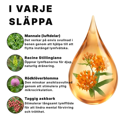 Valea® | Wellness-droppar för lymfdränering