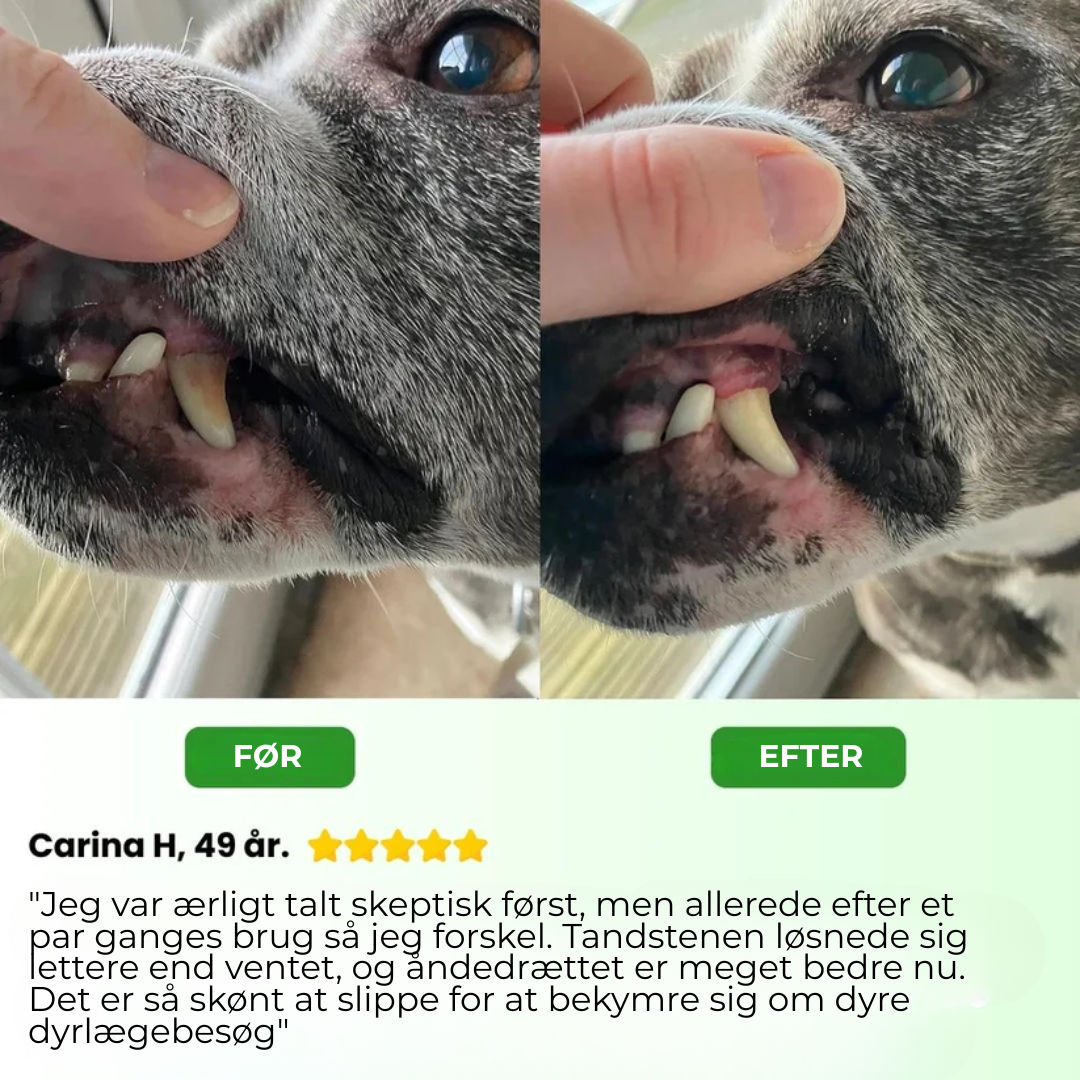 PawSafe® | 3-i-1 Kit – Säkert tandvård hemma