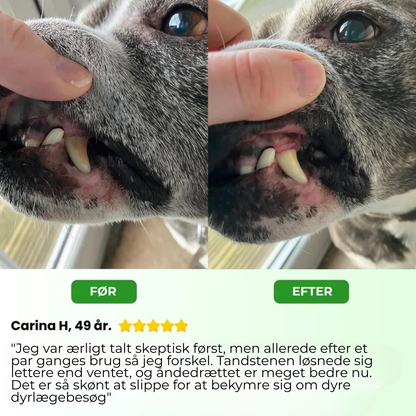 PawSafe® | 3-i-1 Kit – Säkert tandvård hemma