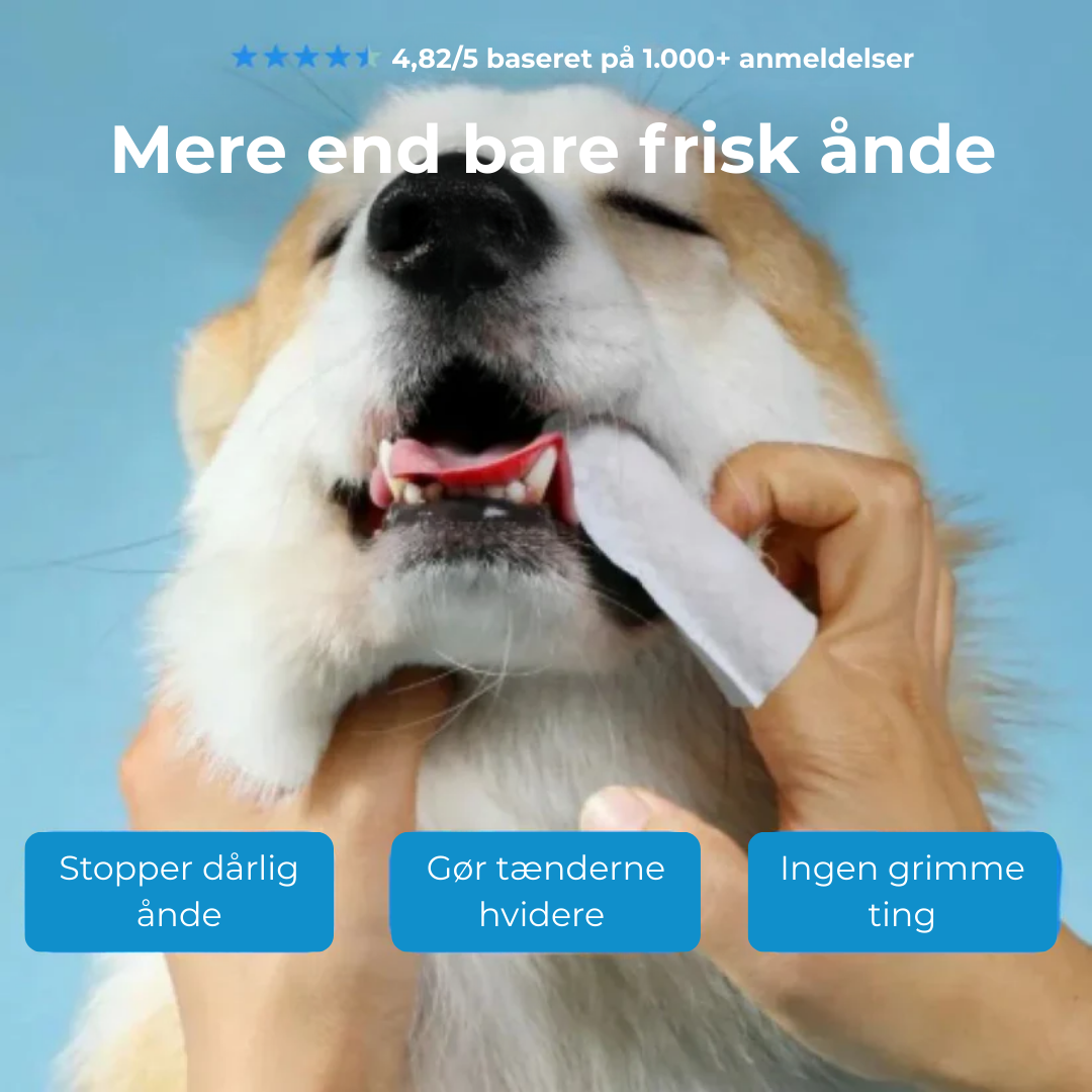 FreshPaws® Kit | Skyddar mot tandproblem - 50 st.