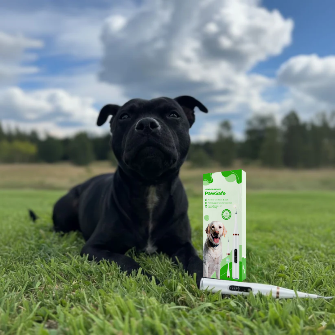 PawSafe® | 3-i-1 Kit – Säkert tandvård hemma