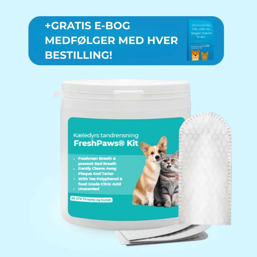 FreshPaws® Kit | Skyddar mot tandproblem - 50 st.