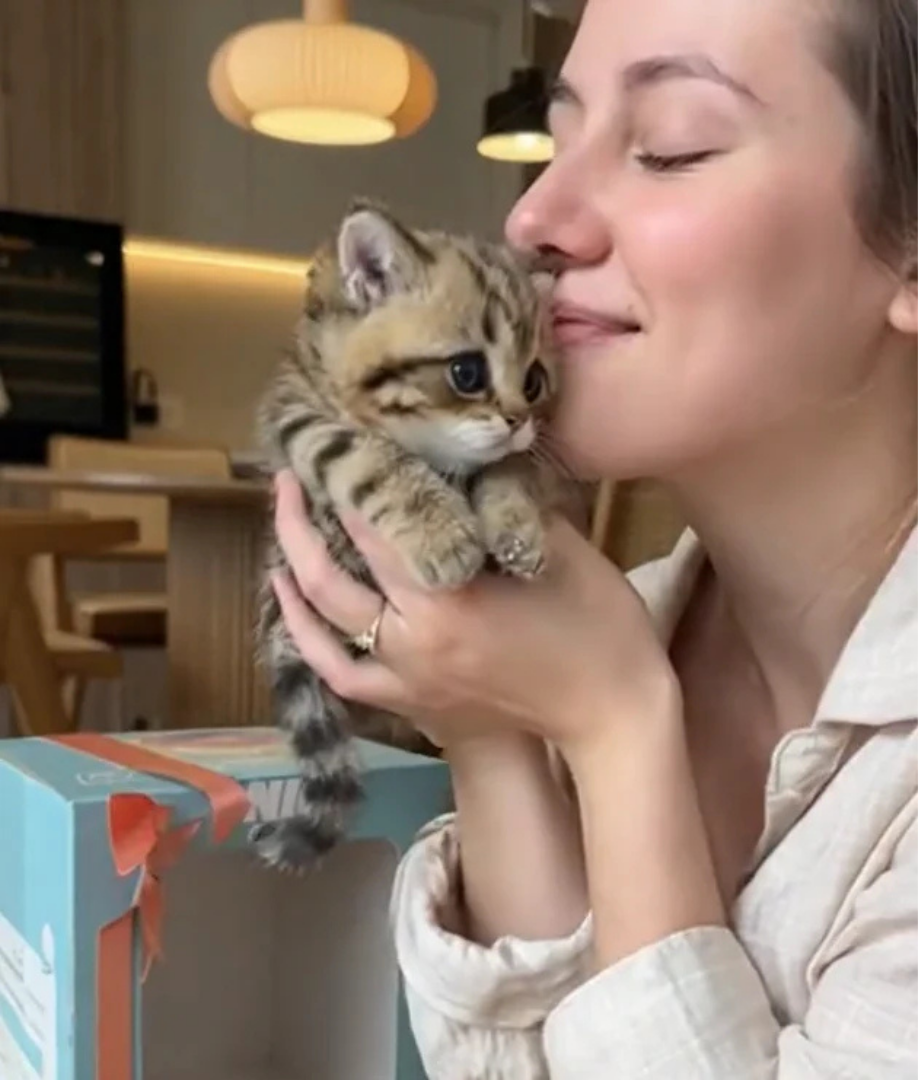 Snuggli® | Din levande mjuka följeslagare som alltid är redo för mys och lek