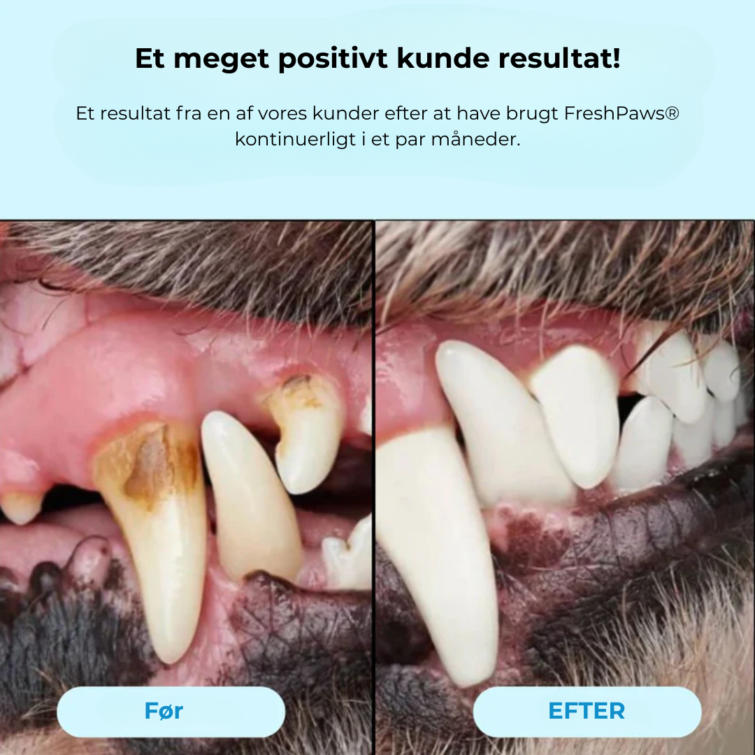 FreshPaws® Kit | Skyddar mot tandproblem - 50 st.