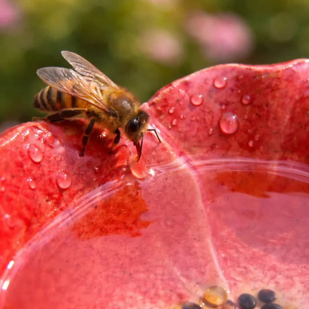 BiBlom® | Handgjorda Bee Blossoms – keramiska dricksskålar för alla väder, 4-pack