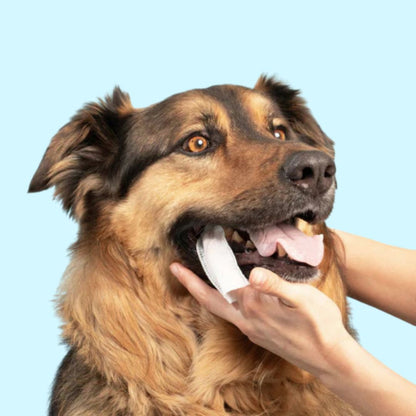 FreshPaws® Kit | Skyddar mot tandproblem - 50 st.