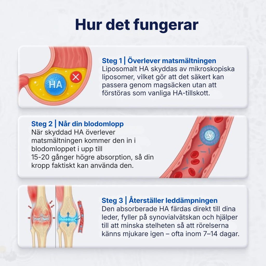 Hyalix® | Joint Molecule – Nu i form av en daglig kapsel som din kropp faktiskt kan ta upp