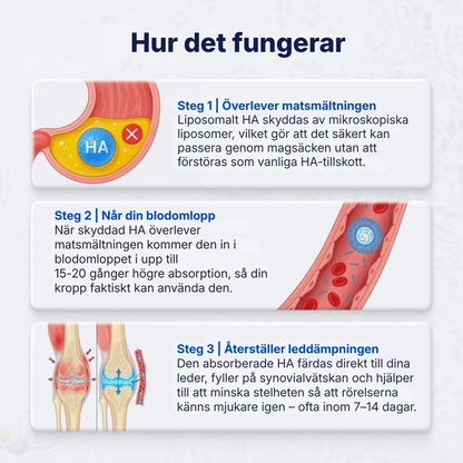 Hyalix® | Joint Molecule – Nu i form av en daglig kapsel som din kropp faktiskt kan ta upp