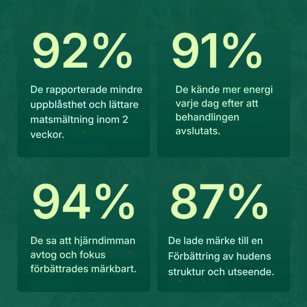 Clean Vital® | Avancerad 2-in-1 Dual Parasite Formula för naturlig kroppsrengöring, energi och dagligt välbefinnande