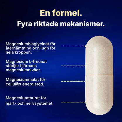 Magnelle® | Magnesiumkomplex för hjärnan