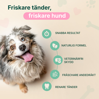 PawFresh® | Hundar/katter – Det handlar inte bara om andedräkten – det handlar om hälsa, välbefinnande och att äntligen göra något som verkligen fungerar.