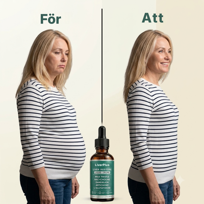 LiverPlus® | Varför du känner dig trött, tung och uppsvälld efter att ha ätit — och hur leverdroppar kan vända på detta på 7 dagar