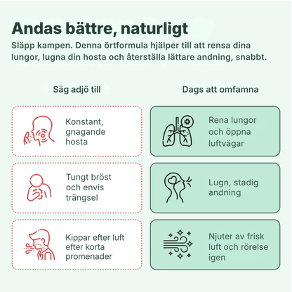Lungora® | Kungsljus + klorofyll – droppar för lungorna