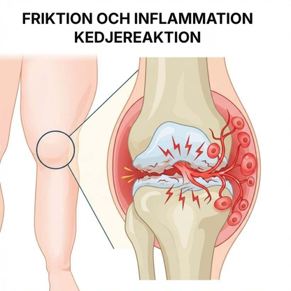 Hyalix® | Joint Molecule – Nu i form av en daglig kapsel som din kropp faktiskt kan ta upp