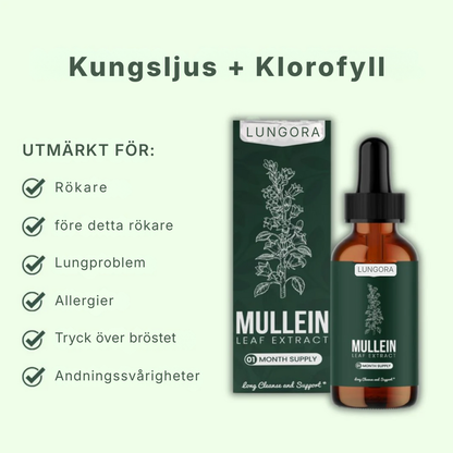 Lungora® | Kungsljus + klorofyll – droppar för lungorna