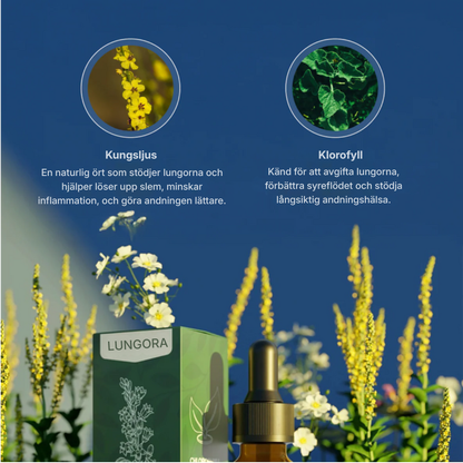 Lungora® | Kungsljus + klorofyll – droppar för lungorna