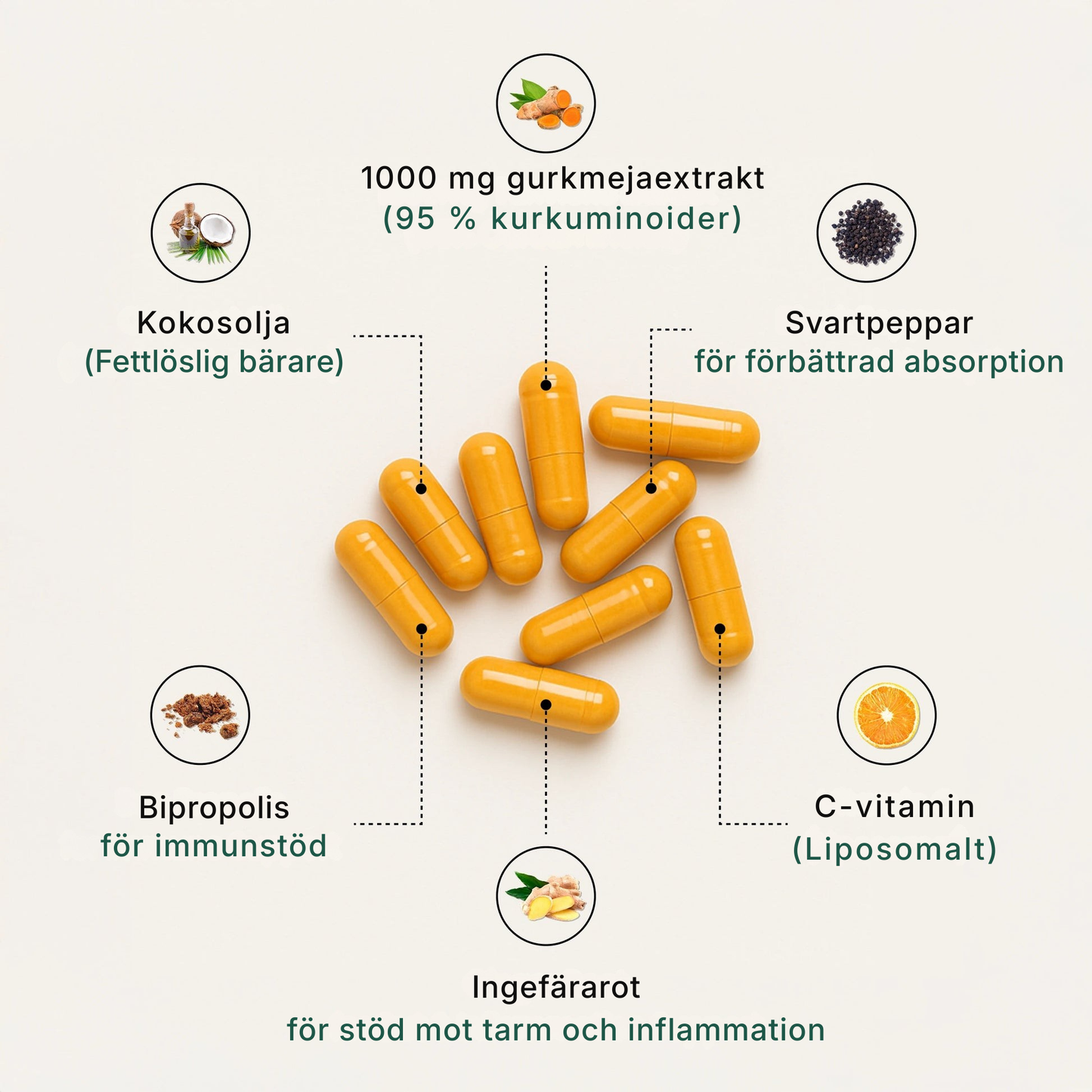 PureRoots® | Kurkumin-kapslar (1000 mg)