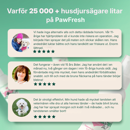 PawFresh® | Hundar/katter – Det handlar inte bara om andedräkten – det handlar om hälsa, välbefinnande och att äntligen göra något som verkligen fungerar.