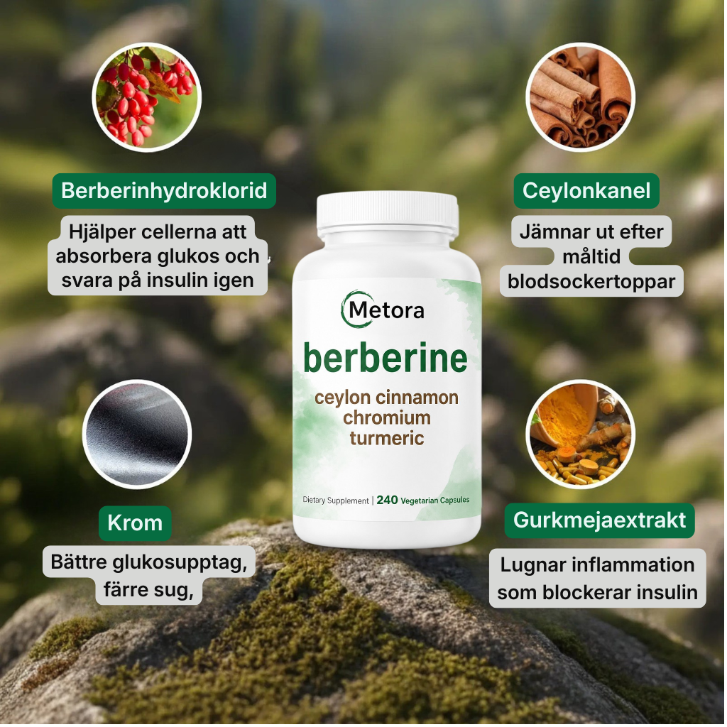 Metora® | 4-i-1 Berberinkomplex – Med berberin, ceylonkanel, krom och gurkmeja för balanserat blodsocker, hälsosamma A1C-nivåer och jämn energi hela dagen