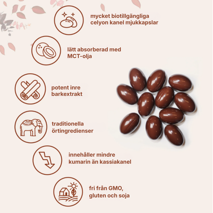 Ceyviva® | Mjukkapslar med ceylonskanel