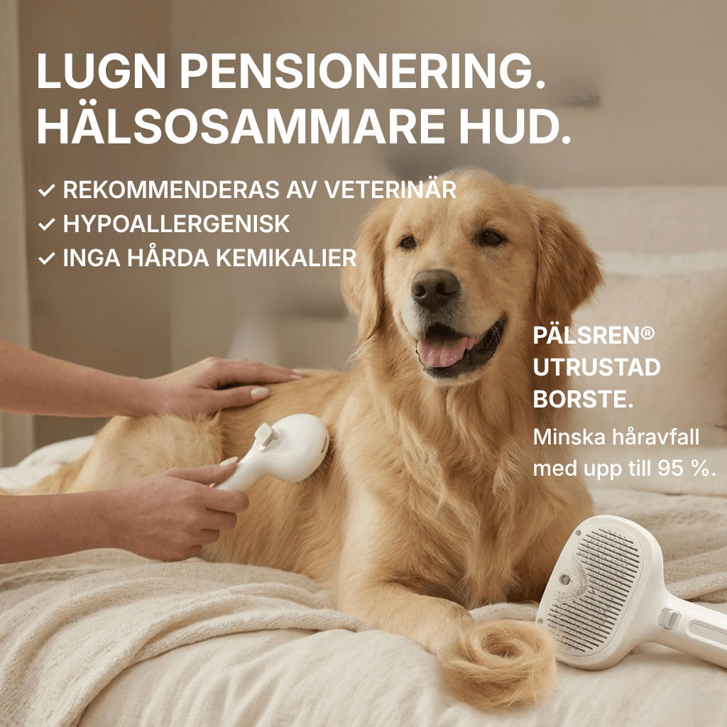 PälsRen® Pälsborste mot fällning | Mindre lös päls, renare hem & friskare päls