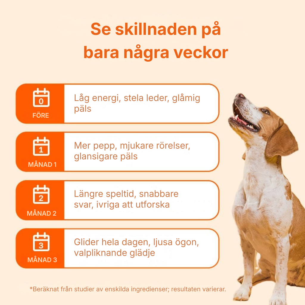Pawora® | Nanoliposomala droppar som bevisligen ger mer energi, mindre värk och bättre koncentration redan från och med kvällens middag