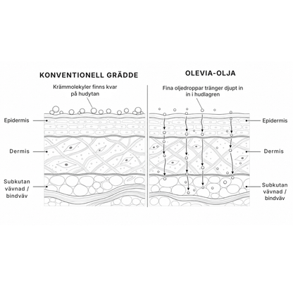 Olevia® Massageolja mot celluliter | Inga besvikande krämer från apoteket och inga dyra behandlingar på salong.