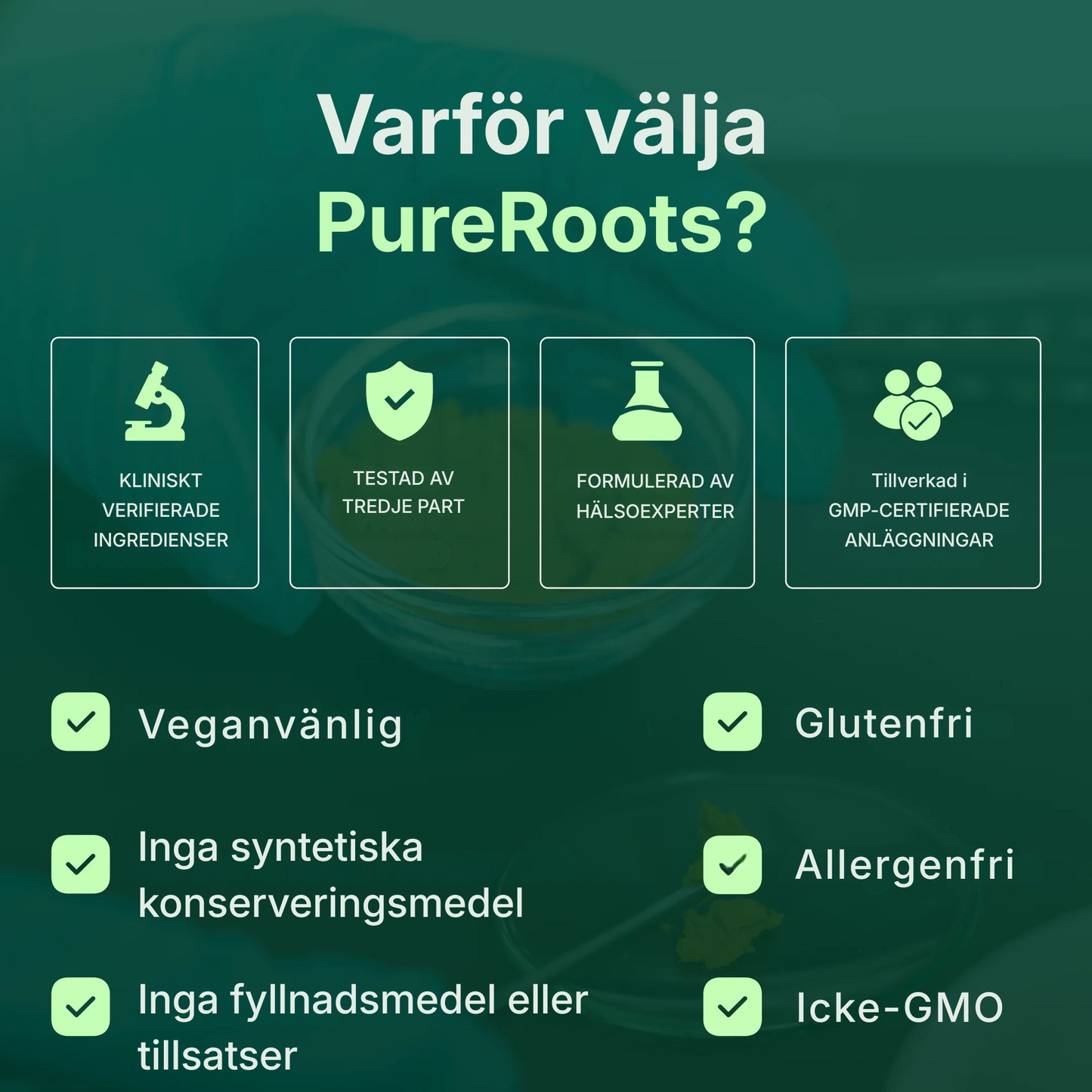 PureRoots® | Kurkumin-kapslar (1000 mg)