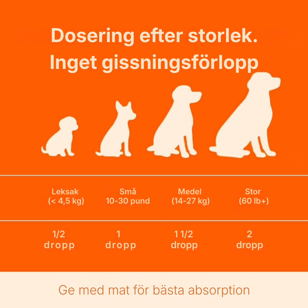 Pawora® | Nanoliposomala droppar som bevisligen ger mer energi, mindre värk och bättre koncentration redan från och med kvällens middag