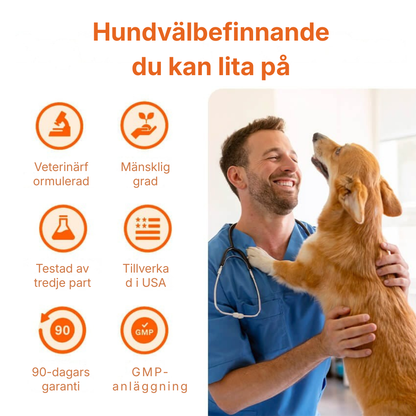 Pawora® | Nanoliposomala droppar som bevisligen ger mer energi, mindre värk och bättre koncentration redan från och med kvällens middag