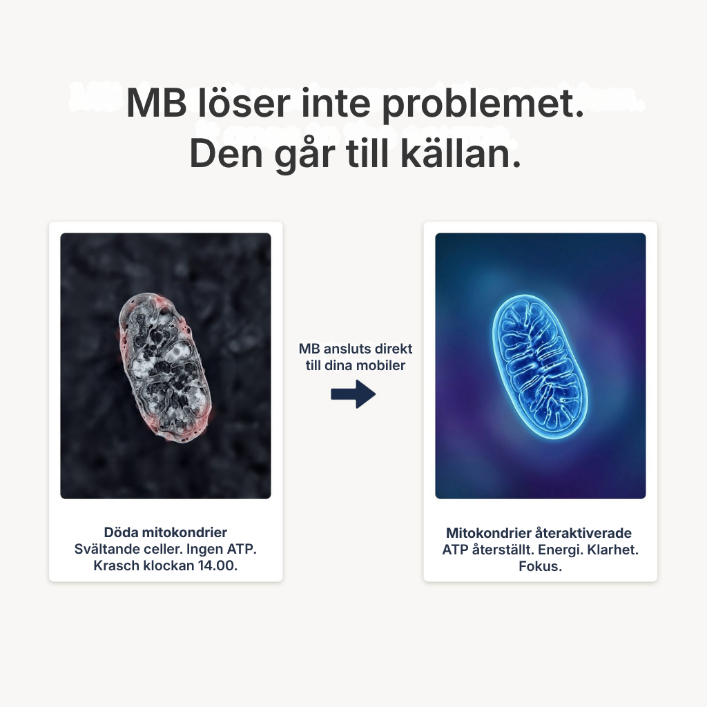 Blue Essence® | USP-kvalitet Metylenblått 1% - Du behöver inte 92 ingredienser. Du behöver en som verkligen fungerar.