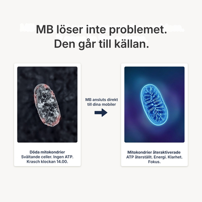 Blue Essence® | USP-kvalitet Metylenblått 1% - Du behöver inte 92 ingredienser. Du behöver en som verkligen fungerar.