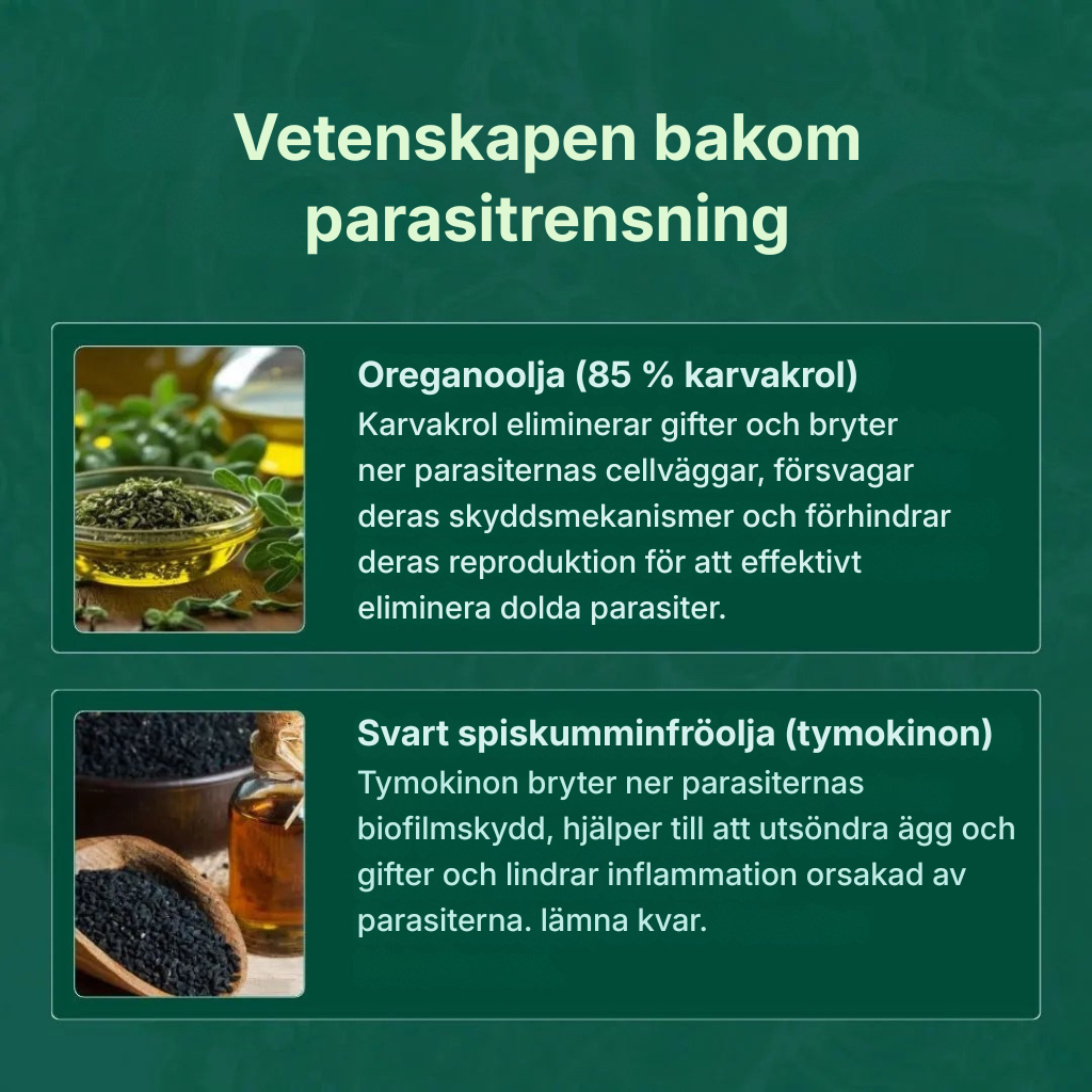 Clean Vital® | Avancerad 2-in-1 Dual Parasite Formula för naturlig kroppsrengöring, energi och dagligt välbefinnande