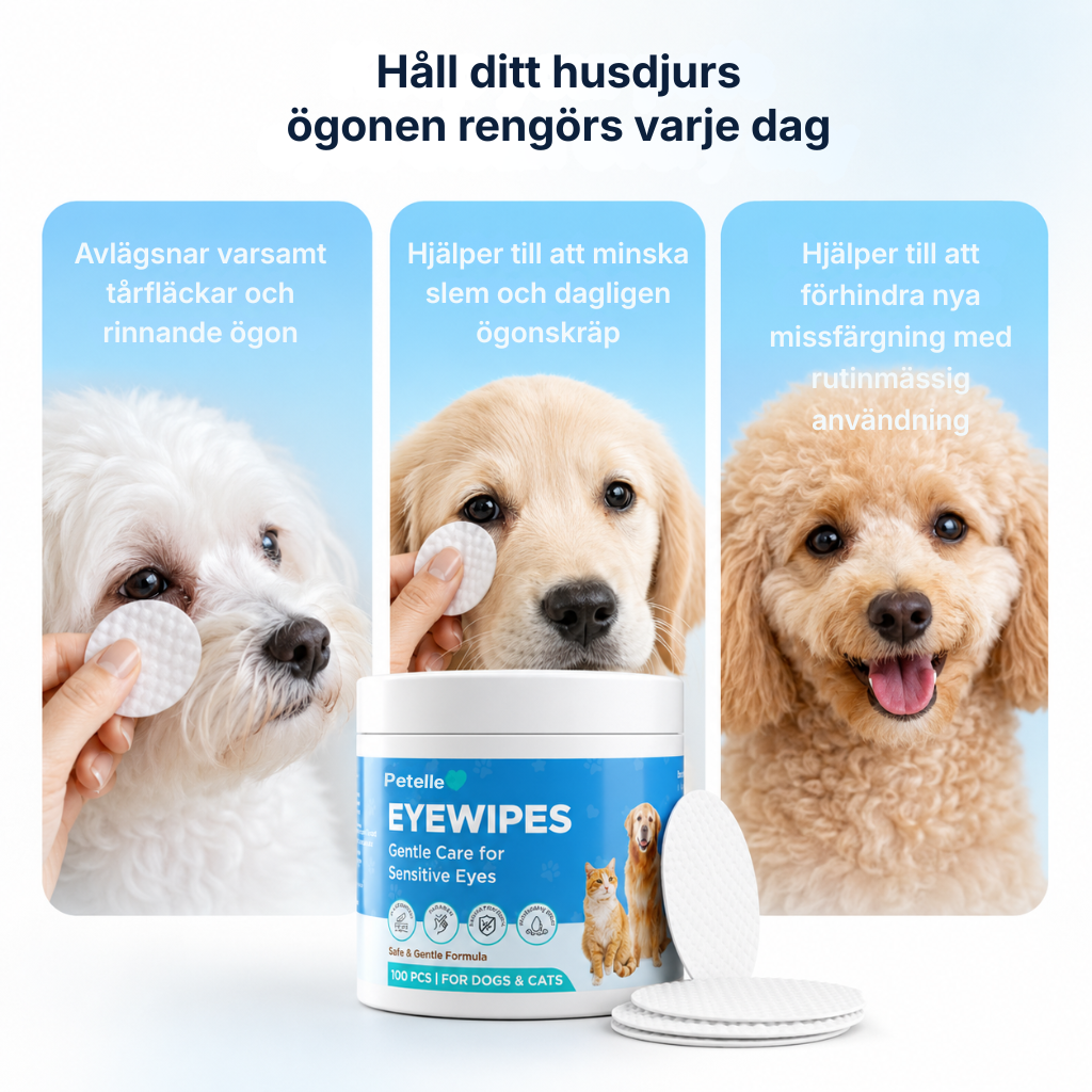 Petelle® Ögonservettsats | förebyggande åtgärder som håller ögonen friska