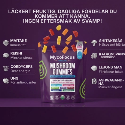 MycoFocus® | Sluta känna dig mentalt utmattad och börja istället möta dagen fokuserad, full av energi och redo att ta dig an utmaningarna.
