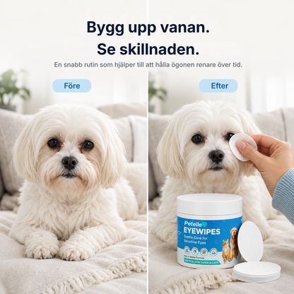 Petelle® Ögonservettsats | förebyggande åtgärder som håller ögonen friska