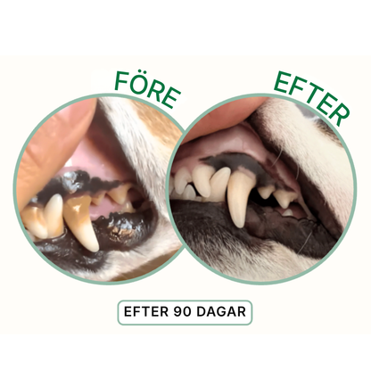 PawFresh® | Hundar/katter – Det handlar inte bara om andedräkten – det handlar om hälsa, välbefinnande och att äntligen göra något som verkligen fungerar.