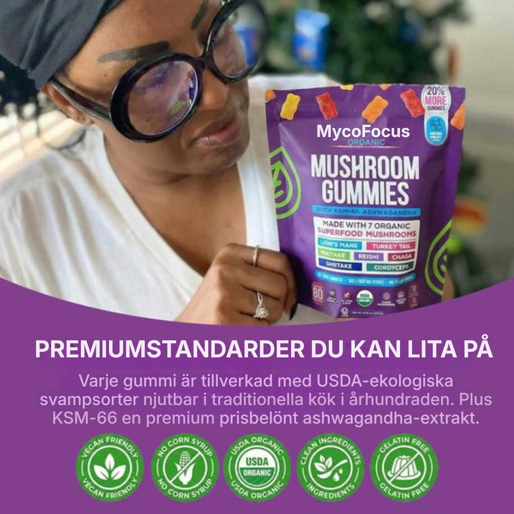 MycoFocus® | Sluta känna dig mentalt utmattad och börja istället möta dagen fokuserad, full av energi och redo att ta dig an utmaningarna.
